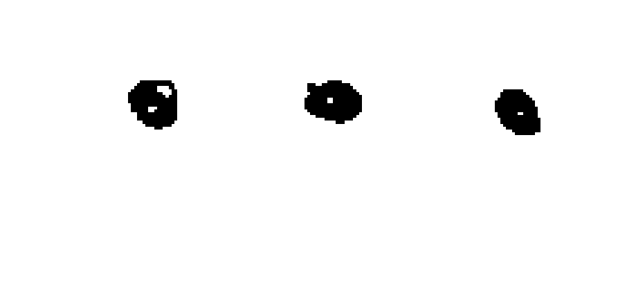 votos del candidato 13