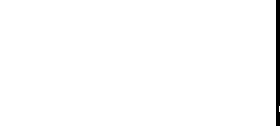 votos del candidato 10