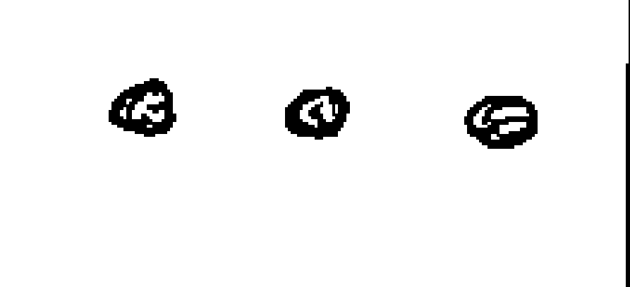 votos del candidato 13