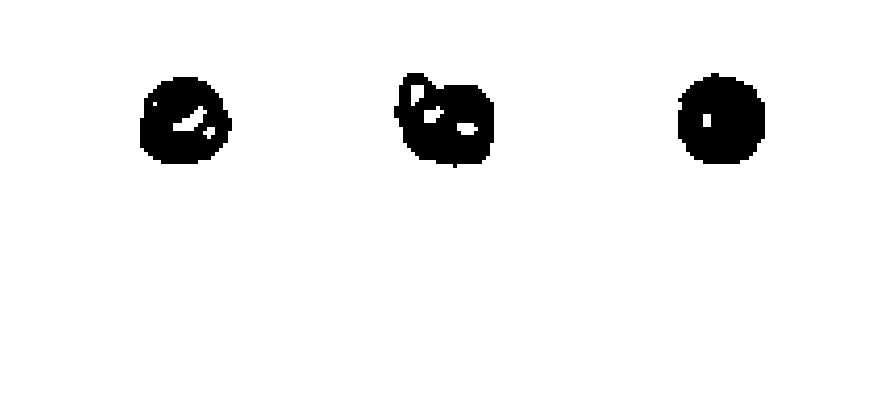 votos del candidato 8