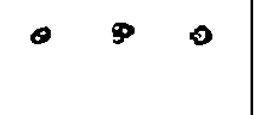 votos del candidato 10