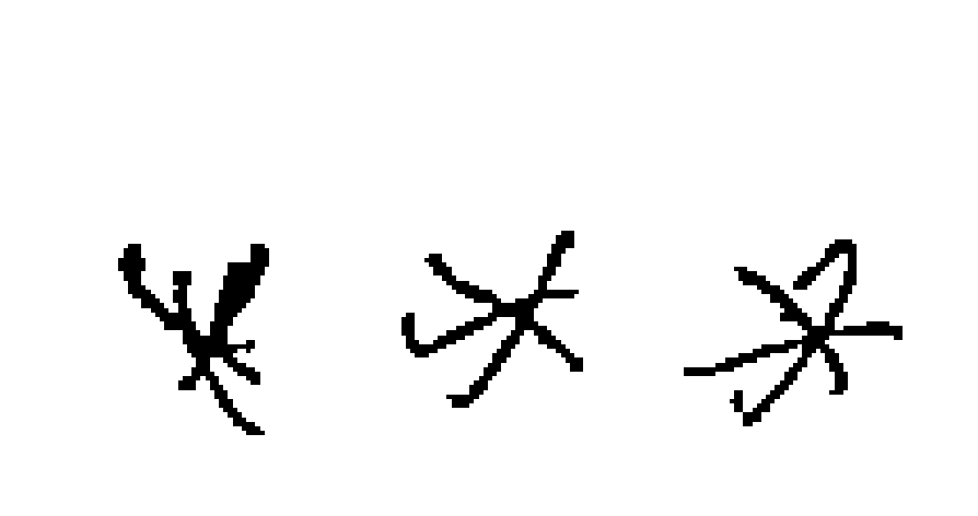 votos del candidato 5