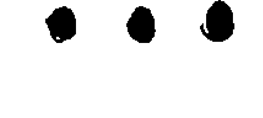 votos del candidato 10