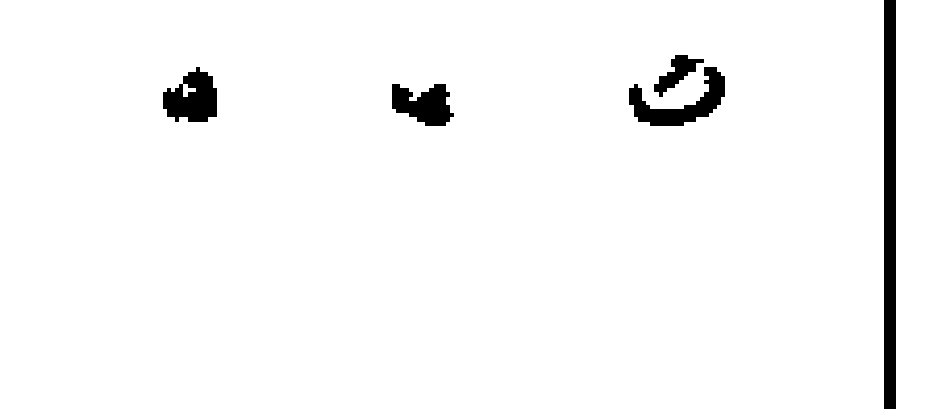 votos del candidato 13