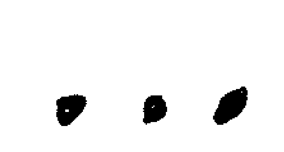 votos del candidato 6