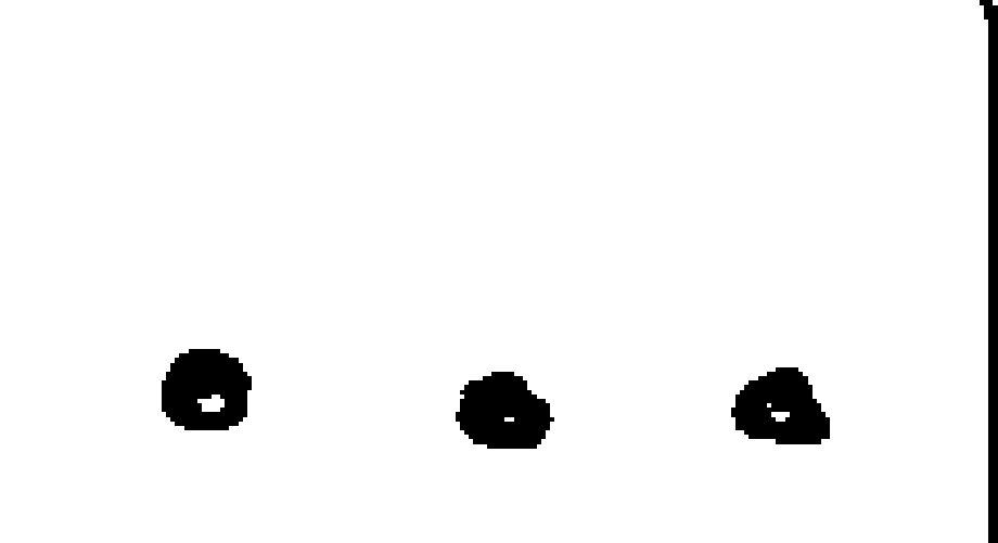 votos del candidato 6