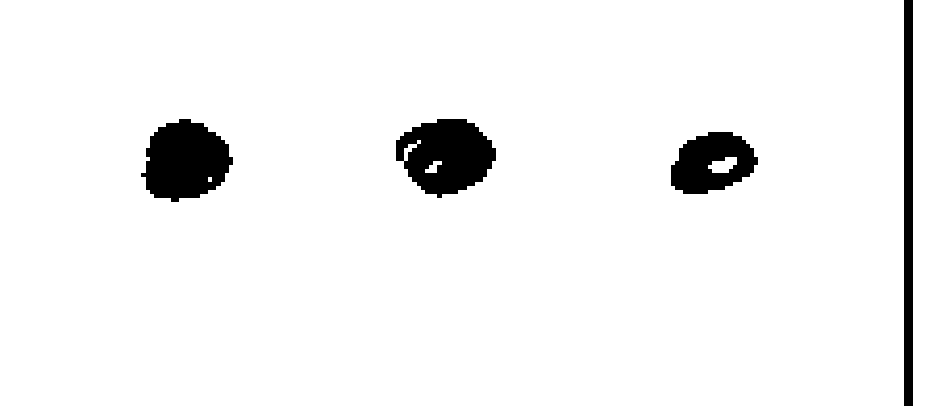 votos del candidato 10