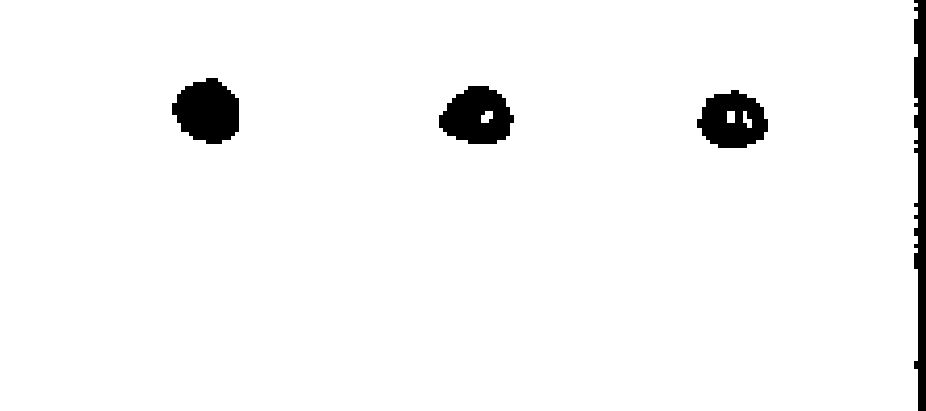 votos del candidato 13